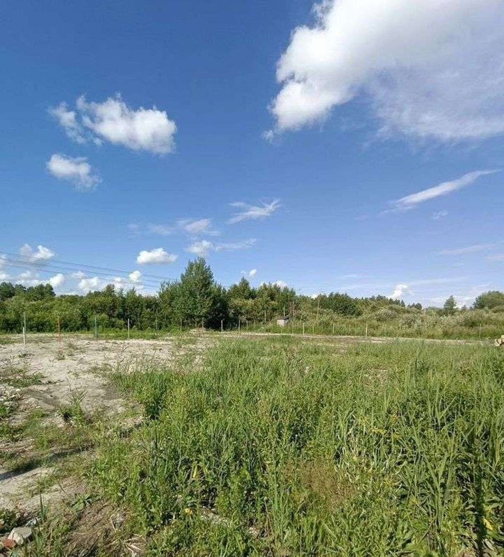 ??