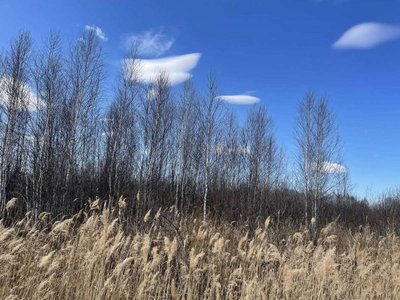 ??
