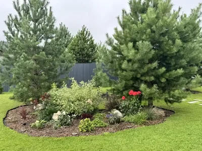 ??