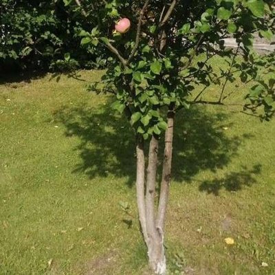 ??