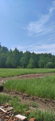 ??